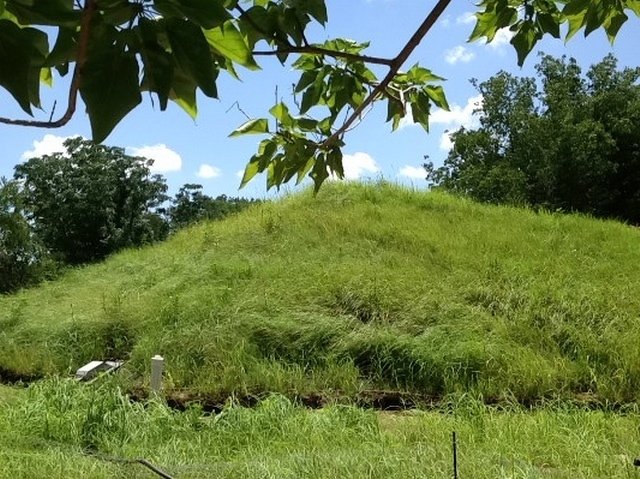 2012-07-06 12.41.17